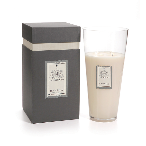 ILLUMINARIA SCENTED CANDLE JAR IN GIFT BOX - LARGE / 2,915 GRAMS:  HAVANA